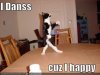 funny-pictures-dancing-cat.jpg