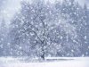 DX-Winter-Snow-Screensaver_1.jpg