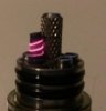 Cobra_1.jpg