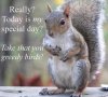 squirrel day.jpg