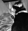 best buds.jpg