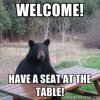welcome bear.jpg