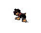 rotflips.gif