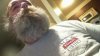 2014-02-03 23-58-25.387.jpg