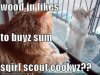 girl-scout-cookie-squirrel-sells-to-cat.jpg