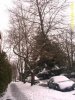 Feb 9 2014 Snow (38).jpg