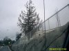 PICT0013.jpg
