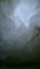 IMAG0135.jpg