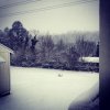 snow.jpg