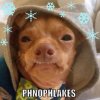 snow-flakes.jpg