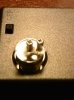 CAM00330.jpg