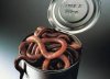 worms.jpeg