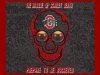 THE-MASQUE-OF-SCARLET-DEATH-ohio-state-football-24192549-1024-768.jpg