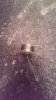 IMAG0105.jpg