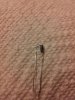 20140225_004810_resized.jpg