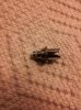 20140225_010609_resized.jpg