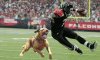 dogandvick.jpg dogandvick.jpg