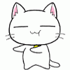 catdance2.gif