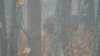 DSC03422.jpg