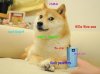 mvp_doge.jpg