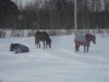 IMG_3842.jpg