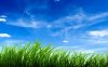 blue_sky_green_grass-wide.jpg