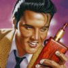 OldBroad Elvis3.jpg