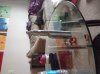 20140317_145423.jpg