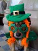 Ledy St Patty's.jpg