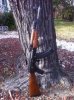 IMG_1667.jpg