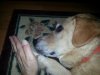 uploadfromtaptalk1395727640599.jpg uploadfromtaptalk1395727640599.jpg