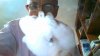 WIN_20140330_205115.jpg