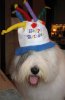IMG_7605.jpg
