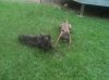 A & V in the grass.jpg