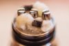 Dual-Coil-Trident-Clone-(1-of-1).jpg