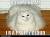 LOLCATS-Cloud.jpg