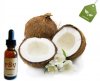 Coconut FSV.jpg