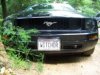 100_0795.jpg