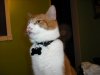 DSCF0022.jpg