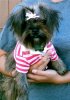 bailey 00004.jpg
