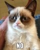 grumpy-cat-no.jpg