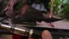 knoett-vape.jpg