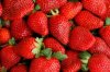 Strawberries.jpg