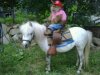 Monkey on pony pic.jpg
