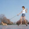 dog pulling skateboard.jpg