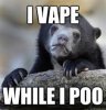 vbear.jpeg