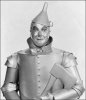 tinman.jpg