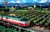 Napa-Wine-Train-800.jpg