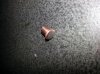 Filled copper 1.jpg