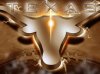 Longhorns.jpg